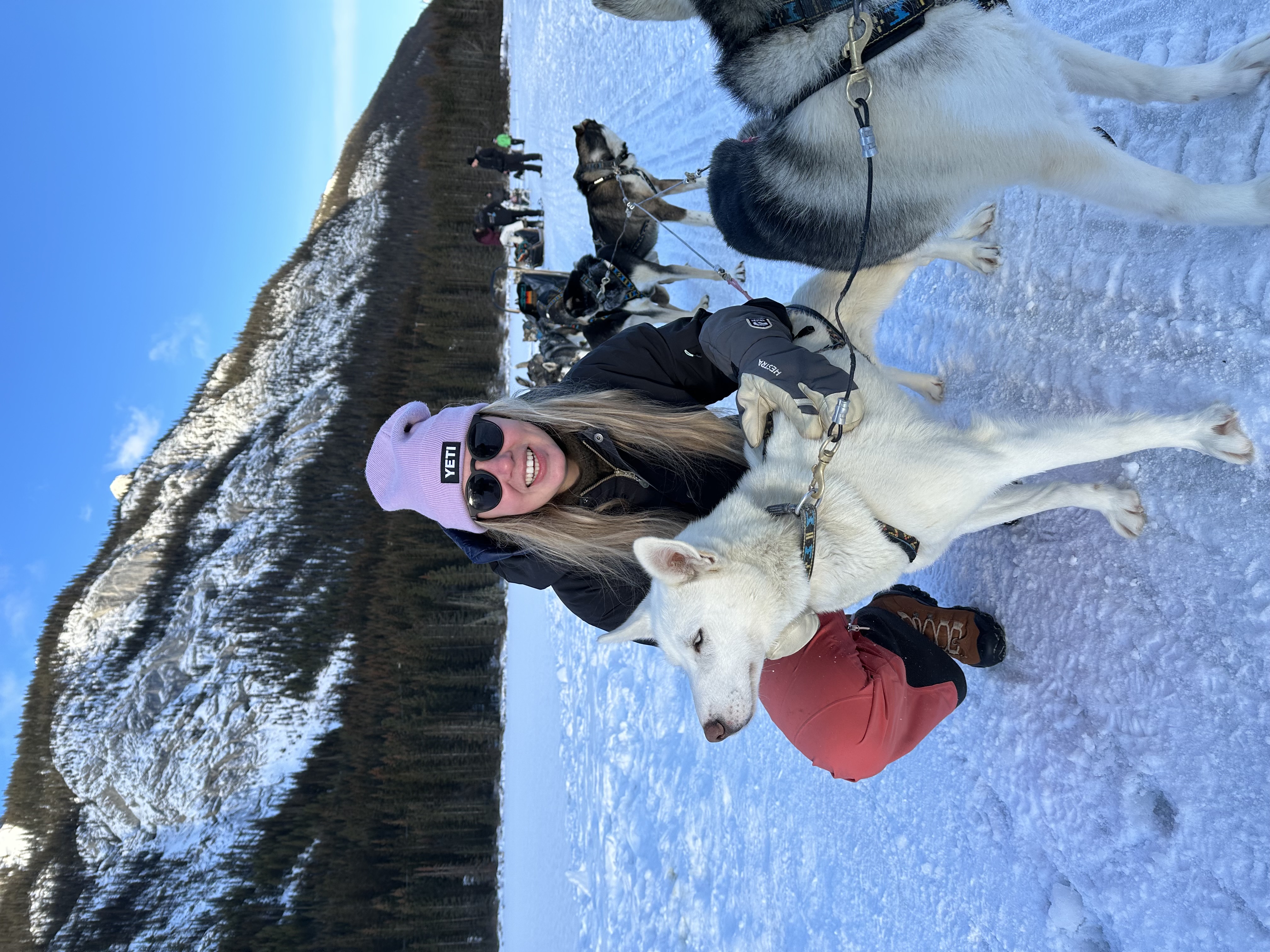 Winter dogsledding in the mountains